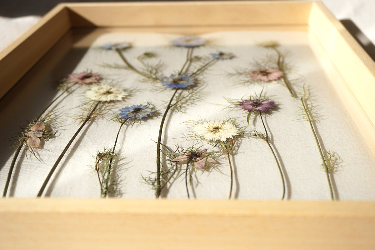 Nigella en madera