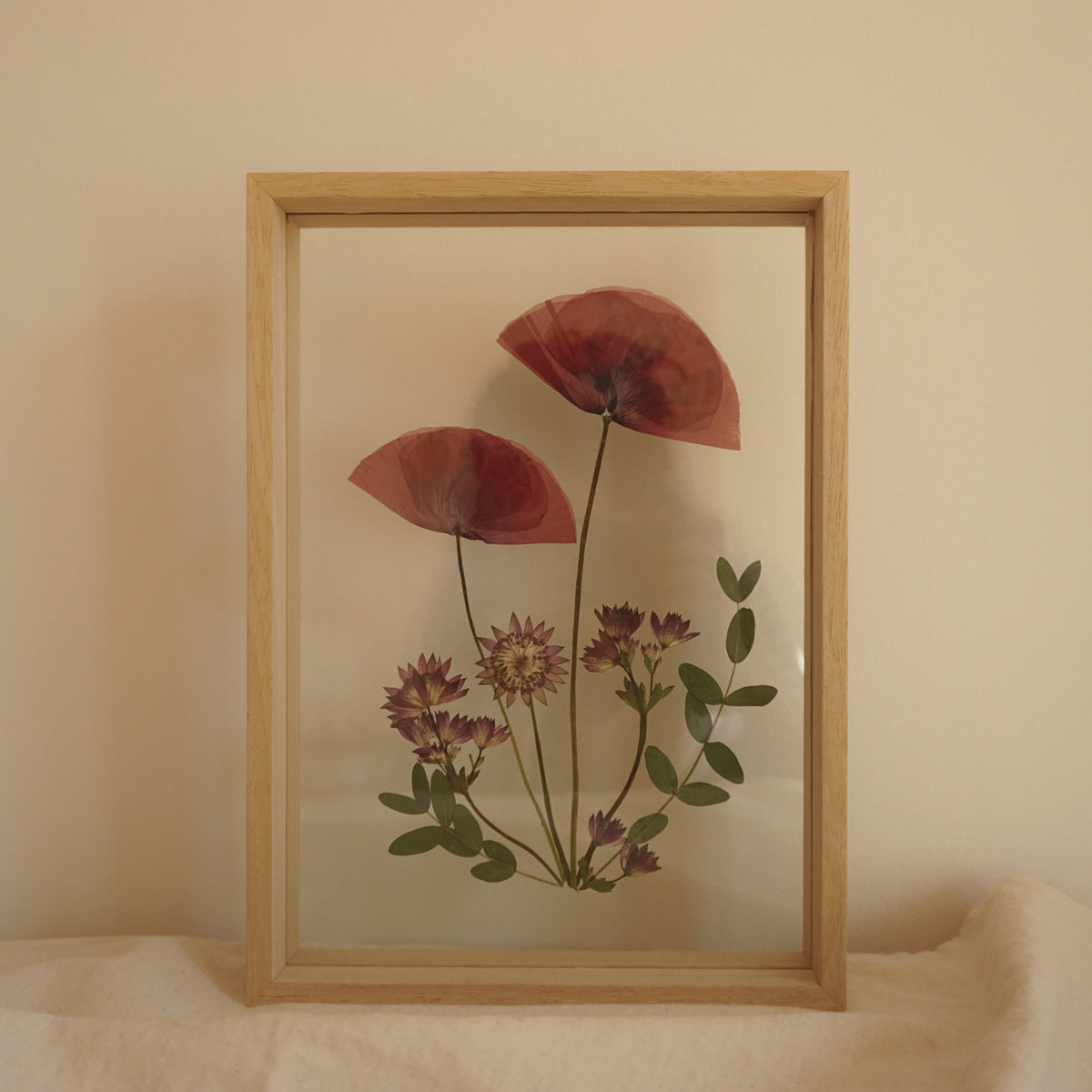 Amapola en marco de madera