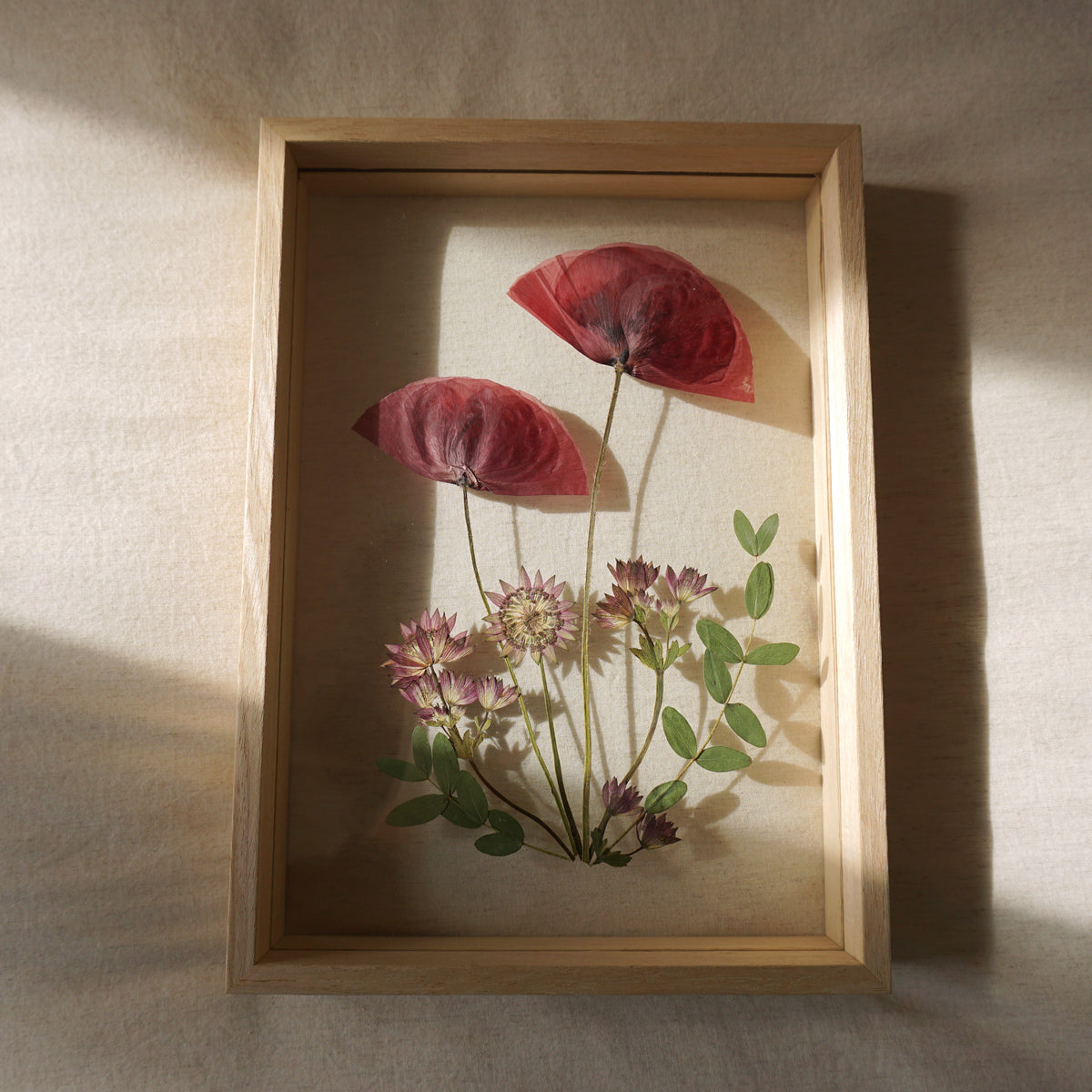 Amapola en marco de madera