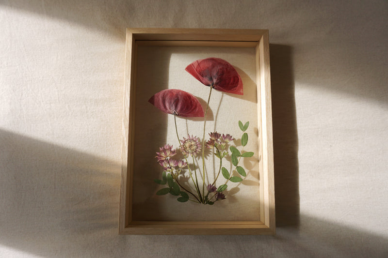 Amapola en marco de madera