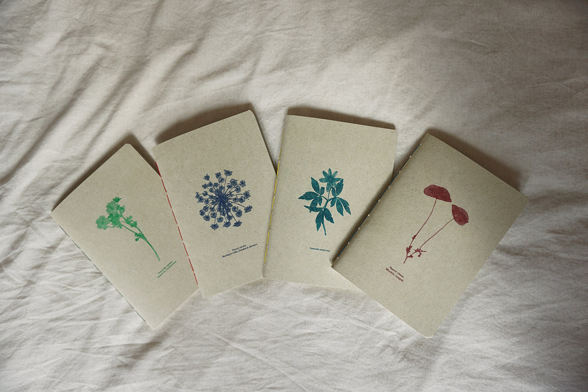 Cuadernos botánicos