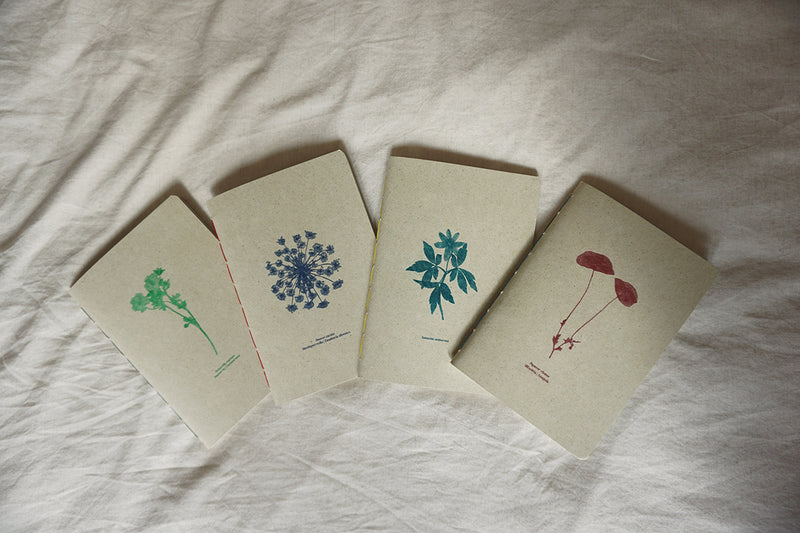 Cuadernos botánicos