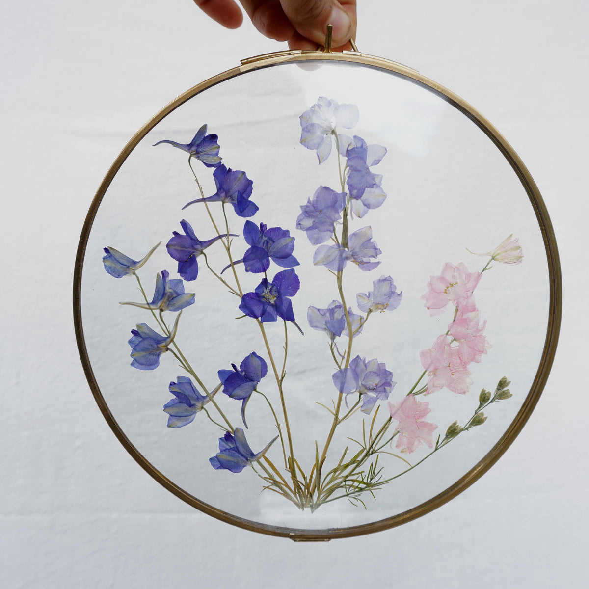 Delphinium en marco de latón redondo