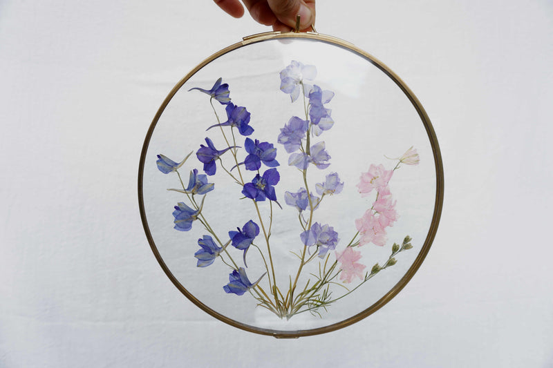 Delphinium en marco de latón redondo