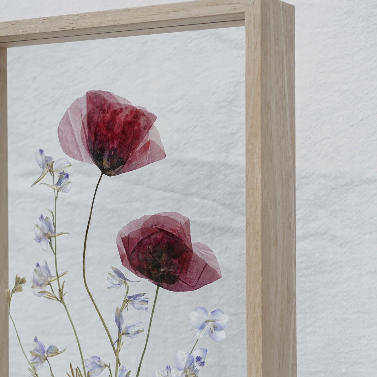 Amapola y delphinium en marco de madera