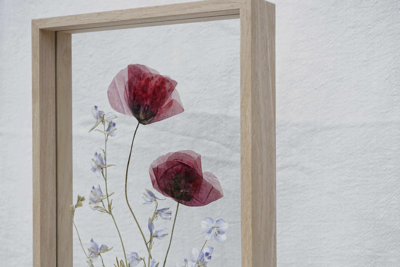 Amapola y delphinium en marco de madera