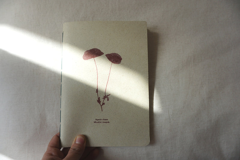 Cuadernos botánicos