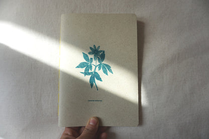 Cuadernos botánicos