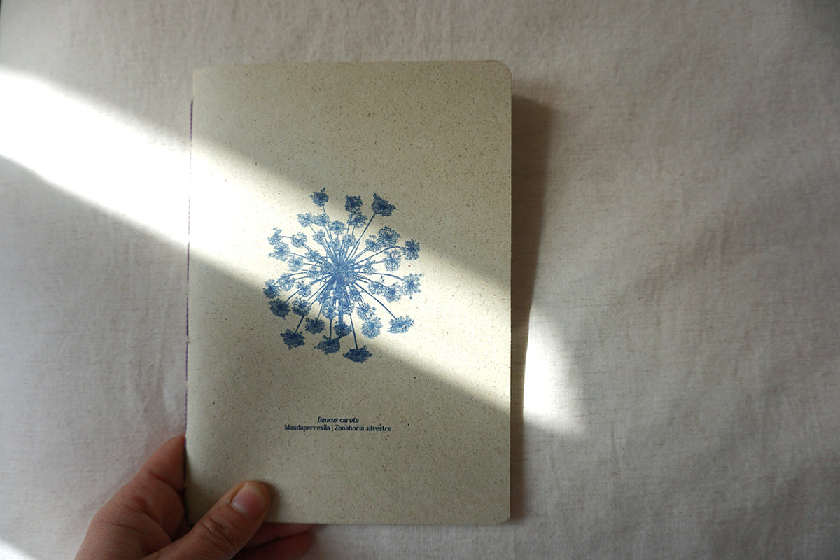 Cuadernos botánicos