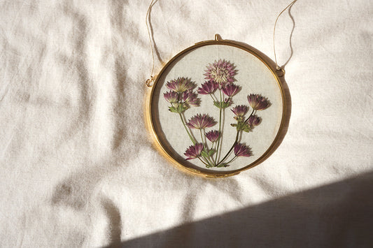 Astrantia en marco redondo de latón