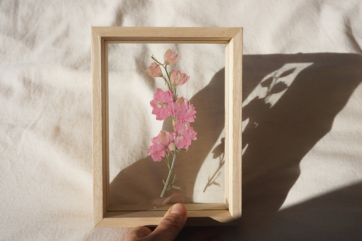 Delphinium en marco de madera