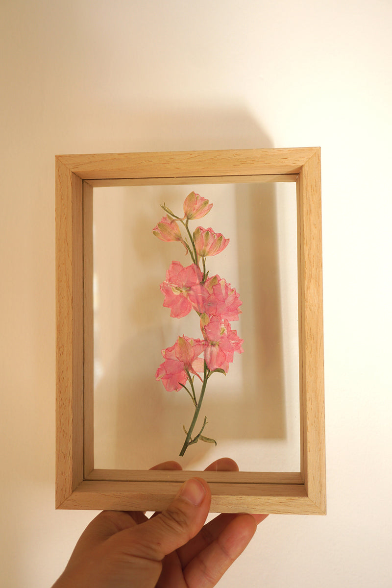 Delphinium en marco de madera