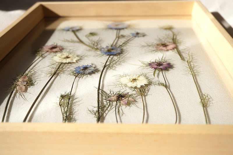 Nigella en madera