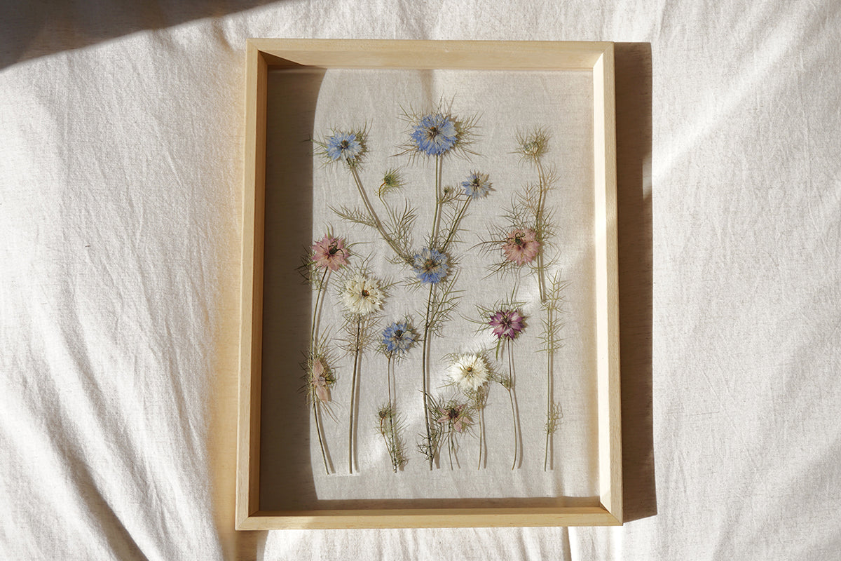 Nigella en madera