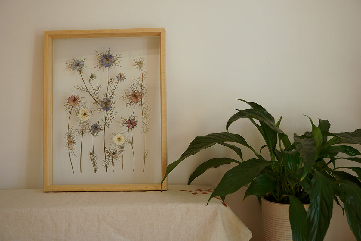 Nigella en madera