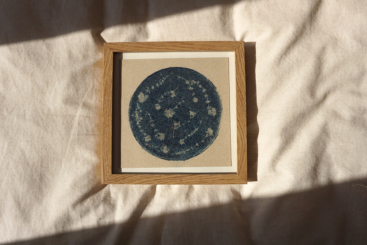 Luna de tomillo